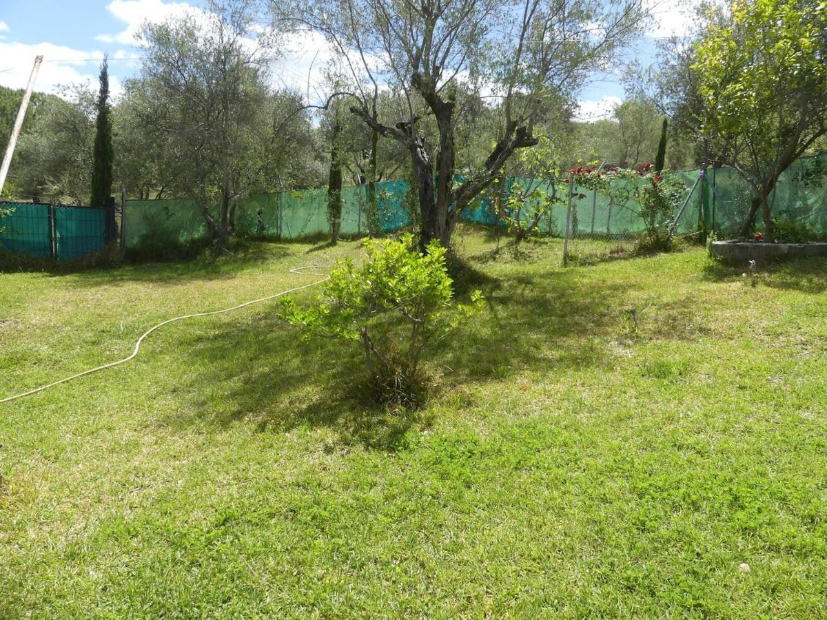 La Casa Grande Villa Sevilla Eksteriør bilde